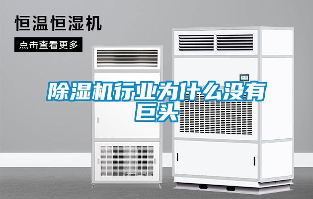 除濕機(jī)行業(yè)為什么沒(méi)有巨頭