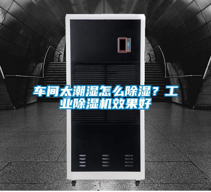車間太潮濕怎么除濕？工業(yè)除濕機效果好