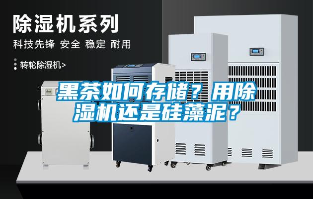 黑茶如何存儲？用除濕機還是硅藻泥？