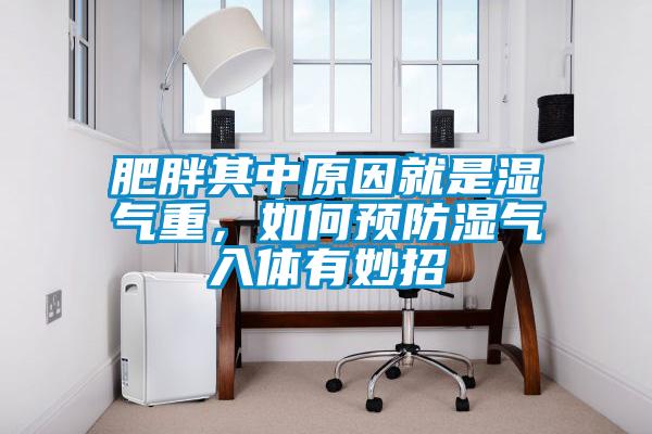 肥胖其中原因就是濕氣重，如何預(yù)防濕氣入體有妙招