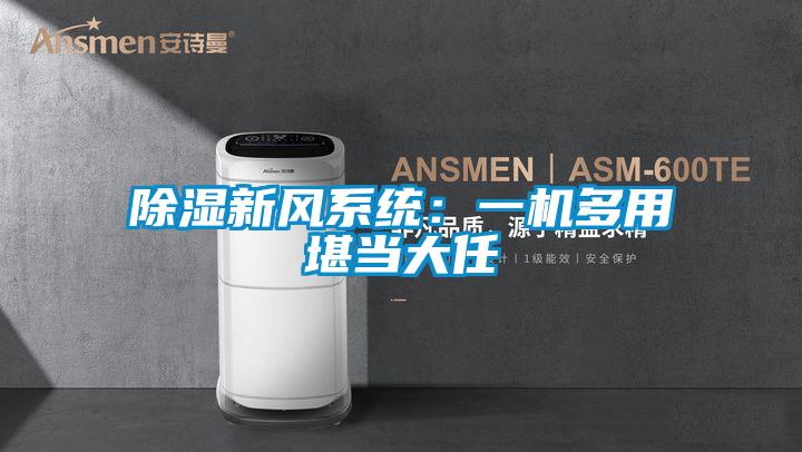 除濕新風系統：一機多用堪當大任