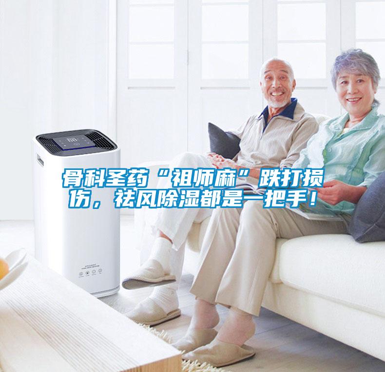 骨科圣藥“祖師麻”跌打損傷，祛風(fēng)除濕都是一把手！