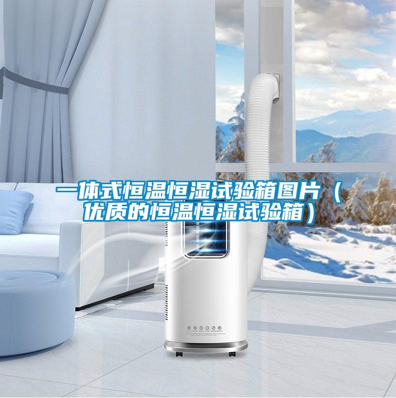 一體式恒溫恒濕試驗箱圖片（優(yōu)質(zhì)的恒溫恒濕試驗箱）