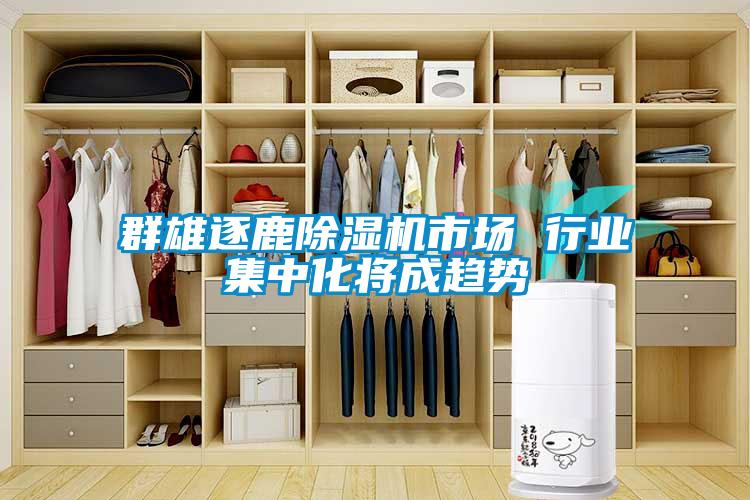 群雄逐鹿除濕機市場 行業集中化將成趨勢