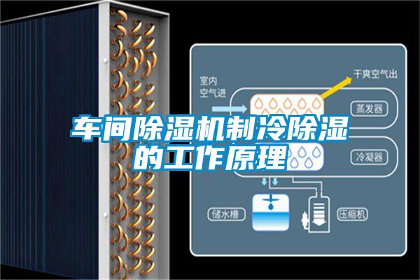 車間除濕機制冷除濕的工作原理