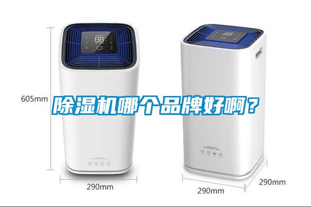 除濕機哪個品牌好啊？