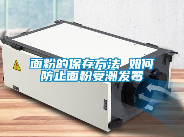 面粉的保存方法 如何防止面粉受潮發霉