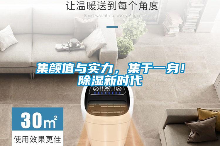 集顏值與實力，集于一身！除濕新時代