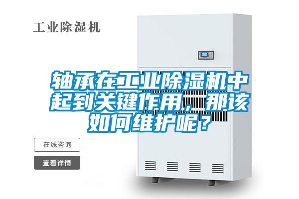軸承在工業(yè)除濕機(jī)中起到關(guān)鍵作用，那該如何維護(hù)呢？