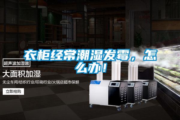 衣柜經常潮濕發霉，怎么辦！