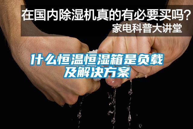 什么恒溫恒濕箱是負(fù)載及解決方案