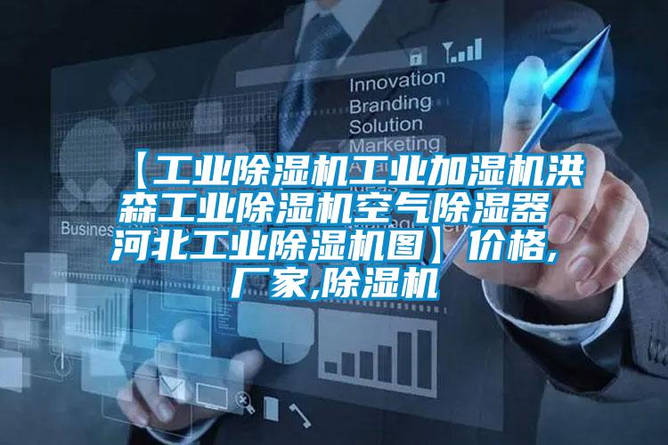 【工業除濕機工業加濕機洪森工業除濕機空氣除濕器河北工業除濕機圖】價格,廠家,除濕機