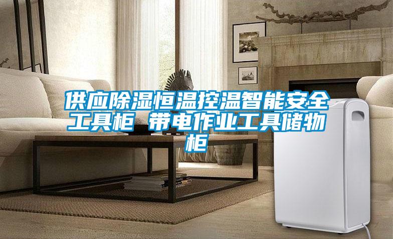 供應除濕恒溫控溫智能安全工具柜 帶電作業工具儲物柜