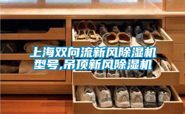 上海雙向流新風(fēng)除濕機型號,吊頂新風(fēng)除濕機