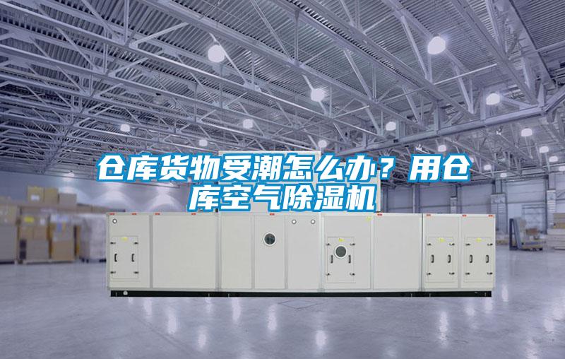 倉(cāng)庫(kù)貨物受潮怎么辦？用倉(cāng)庫(kù)空氣除濕機(jī)