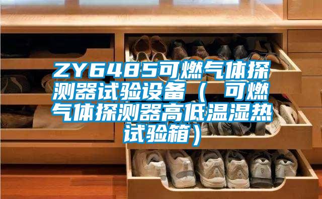 ZY6485可燃氣體探測器試驗設備（ 可燃氣體探測器高低溫濕熱試驗箱）