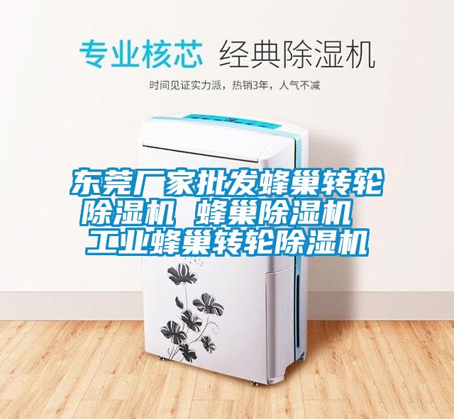 東莞廠家批發蜂巢轉輪除濕機 蜂巢除濕機 工業蜂巢轉輪除濕機