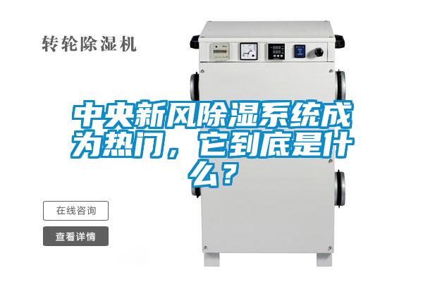 中央新風(fēng)除濕系統(tǒng)成為熱門，它到底是什么？