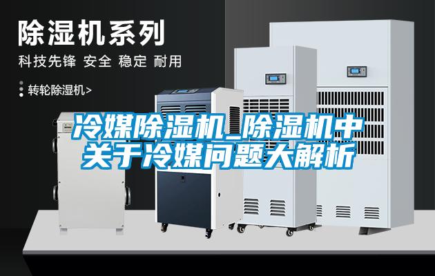 冷媒除濕機(jī)_除濕機(jī)中關(guān)于冷媒問(wèn)題大解析