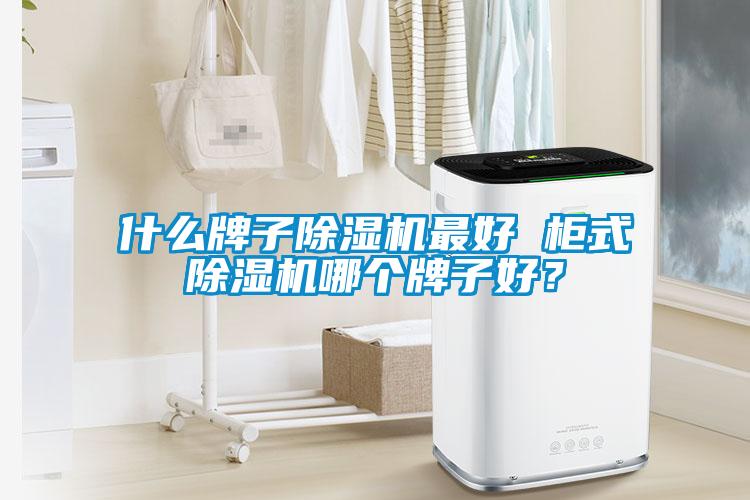 什么牌子除濕機最好 柜式除濕機哪個牌子好？
