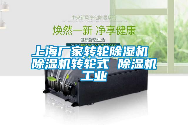 上海廠家轉輪除濕機 除濕機轉輪式 除濕機工業