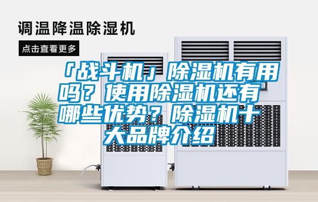 「戰斗機」除濕機有用嗎？使用除濕機還有哪些優勢？除濕機十大品牌介紹