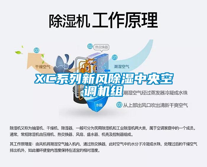 XC系列新風除濕中央空調(diào)機組