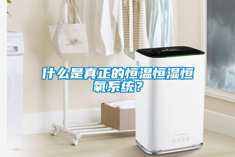 什么是真正的恒溫恒濕恒氧系統？