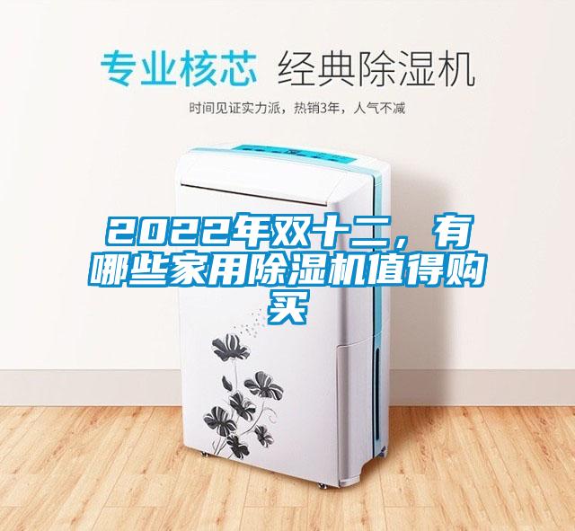 2022年雙十二，有哪些家用除濕機值得購買