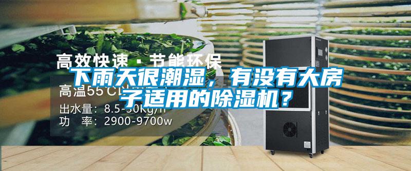 下雨天很潮濕，有沒有大房子適用的除濕機？