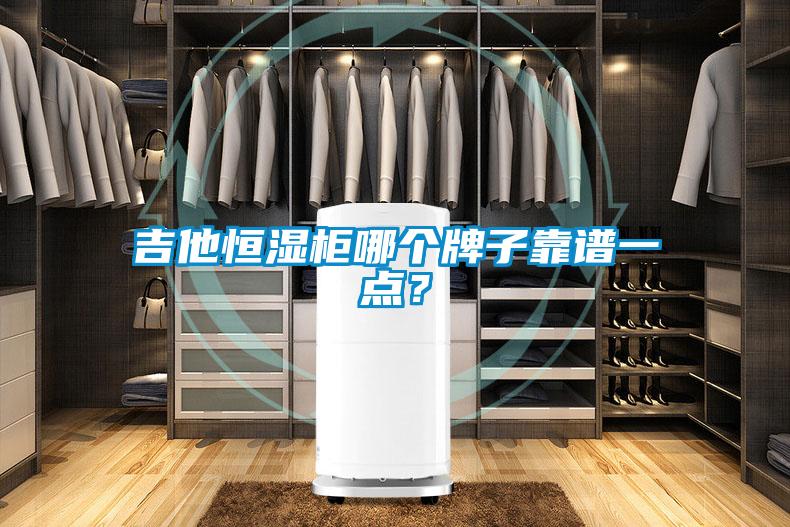 吉他恒濕柜哪個牌子靠譜一點？