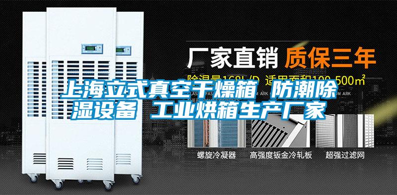 上海立式真空干燥箱 防潮除濕設備 工業烘箱生產廠家