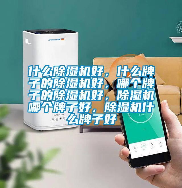 什么除濕機(jī)好，什么牌子的除濕機(jī)好，哪個(gè)牌子的除濕機(jī)好，除濕機(jī)哪個(gè)牌子好，除濕機(jī)什么牌子好