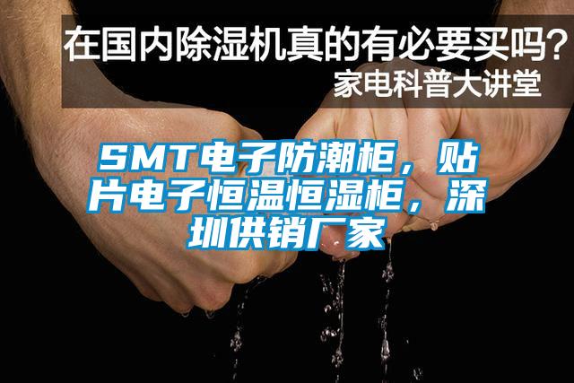 SMT電子防潮柜，貼片電子恒溫恒濕柜，深圳供銷廠家