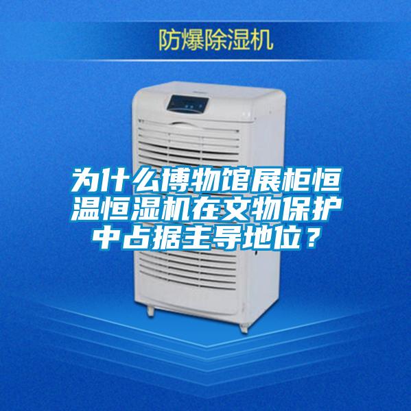 為什么博物館展柜恒溫恒濕機在文物保護中占據主導地位？