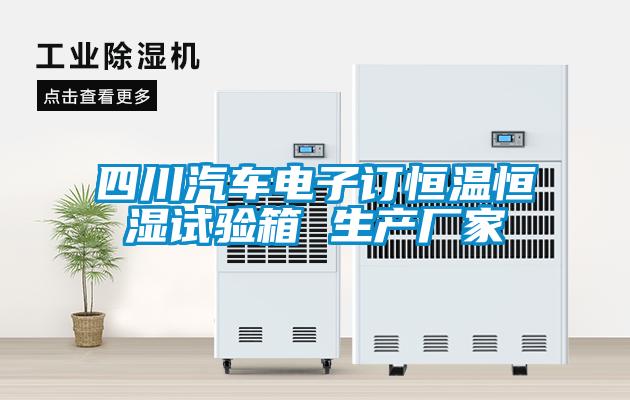 四川汽車電子訂恒溫恒濕試驗箱 生產廠家