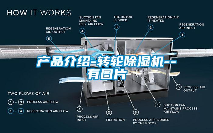 產(chǎn)品介紹-轉(zhuǎn)輪除濕機--有圖片