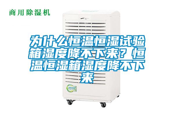 為什么恒溫恒濕試驗箱濕度降不下來？恒溫恒濕箱濕度降不下來