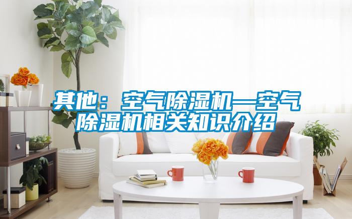 其他：空氣除濕機—空氣除濕機相關知識介紹