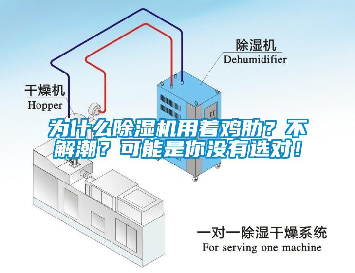 為什么除濕機(jī)用著雞肋？不解潮？可能是你沒有選對！