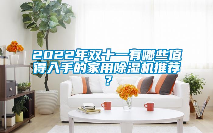 2022年雙十一有哪些值得入手的家用除濕機(jī)推薦？