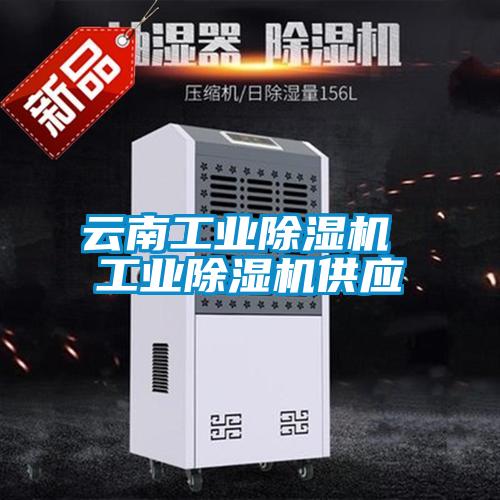云南工業除濕機 工業除濕機供應