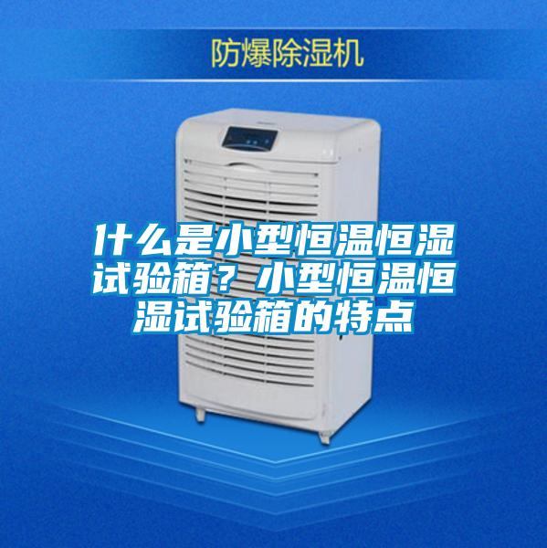 什么是小型恒溫恒濕試驗箱？小型恒溫恒濕試驗箱的特點