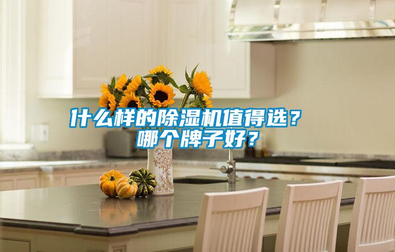 什么樣的除濕機值得選？ 哪個牌子好？