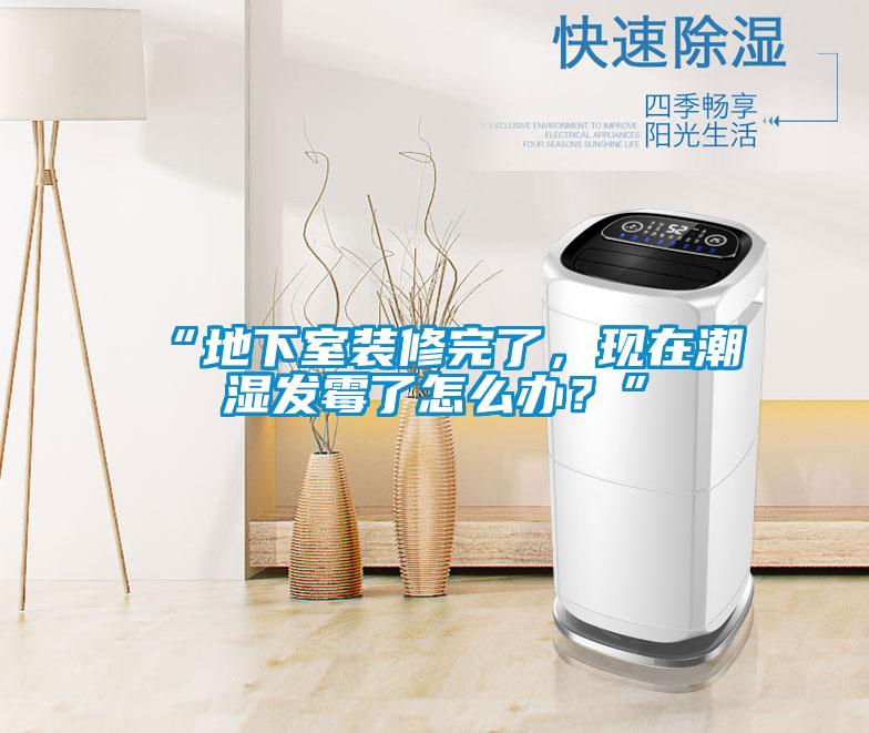 “地下室裝修完了，現(xiàn)在潮濕發(fā)霉了怎么辦？”