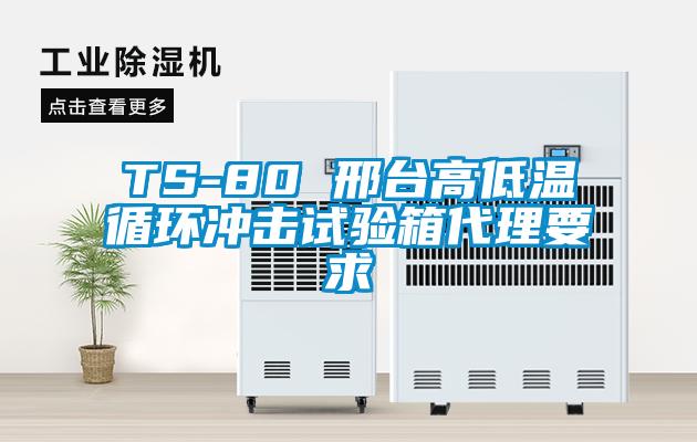 TS-80 邢臺高低溫循環沖擊試驗箱代理要求