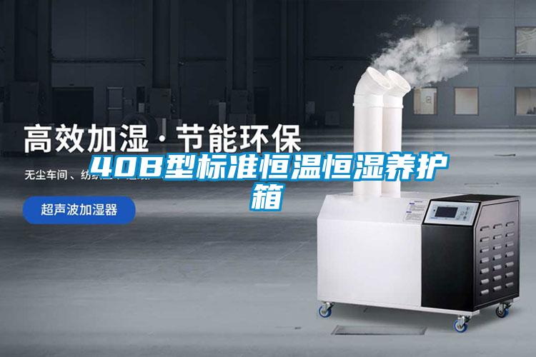40B型標準恒溫恒濕養護箱