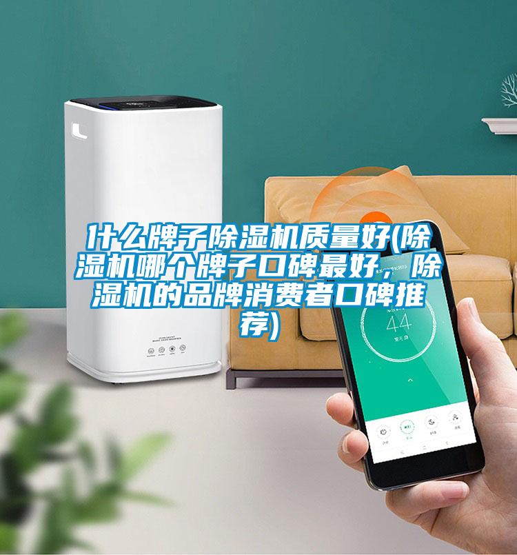 什么牌子除濕機(jī)質(zhì)量好(除濕機(jī)哪個(gè)牌子口碑最好，除濕機(jī)的品牌消費(fèi)者口碑推薦)