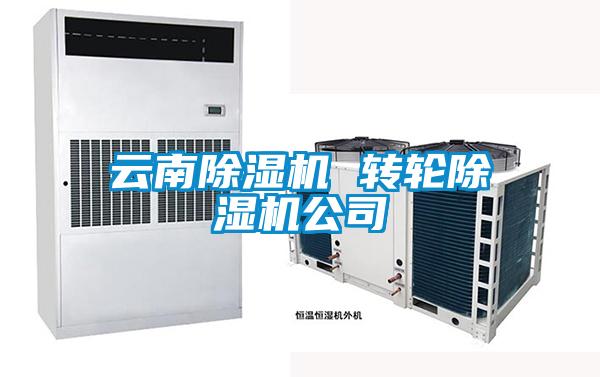 云南除濕機 轉輪除濕機公司