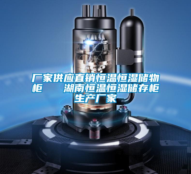 廠家供應直銷恒溫恒濕儲物柜   湖南恒溫恒濕儲存柜生產(chǎn)廠家
